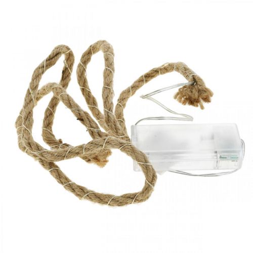 Floristik24 Cordone di luci LED per interni 20 micro LED bianco caldo 95 cm