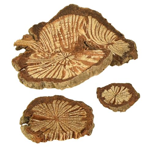 Prodotto Mini dischi di legno decorazione noce di betel con grani 1-4,5 cm 300 g