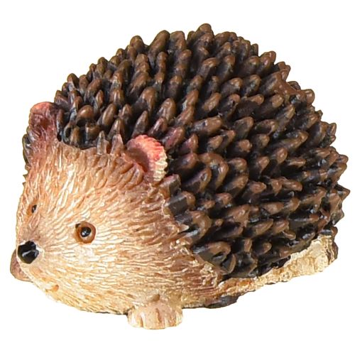 Floristik24 Mini riccio figure decorative autunnali dipinte a mano 4×2,5×2cm 6 pezzi