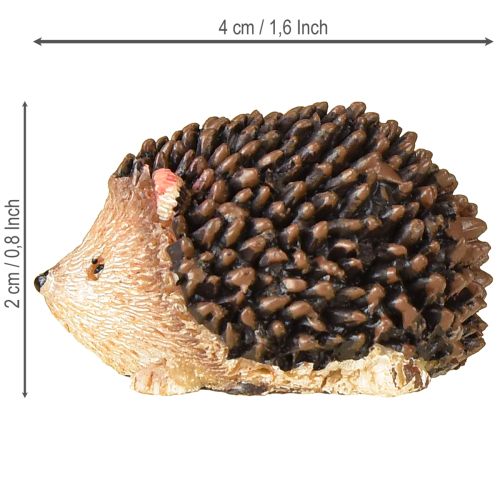 Floristik24 Mini riccio figure decorative autunnali dipinte a mano 4×2,5×2cm 6 pezzi