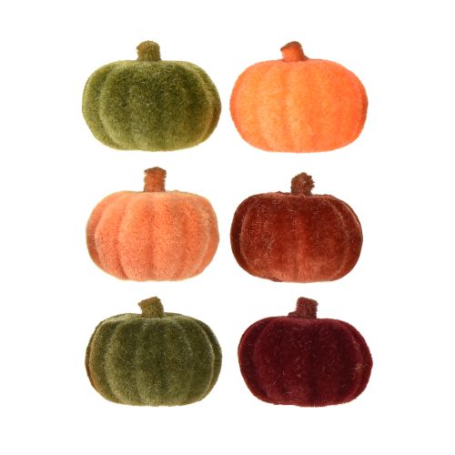 Floristik24 Mini decorazione di zucca floccata 6 colori Ø4cm 24 pezzi