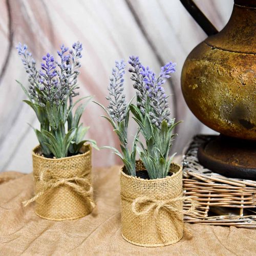 Floristik24 Mini piante artificiali di lavanda in vaso Decorazione di lavanda artificiale
