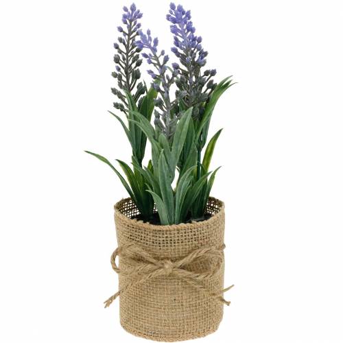 Floristik24 Mini piante artificiali di lavanda in vaso Decorazione di lavanda artificiale