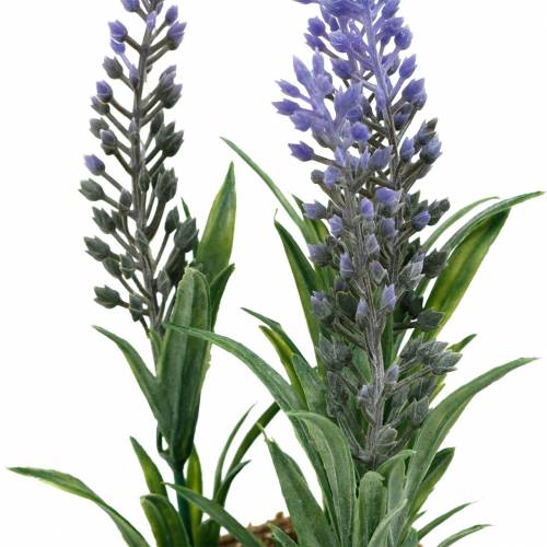 Floristik24 Mini piante artificiali di lavanda in vaso Decorazione di lavanda artificiale