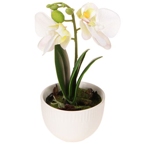 Prodotto Mini orchidee orchidee bianche artificiali in vaso 15cm