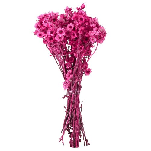 Prodotto Mini Fiore Di Paglia Rosa Fiori Secchi Fiore Di Roccia H20cm 15g