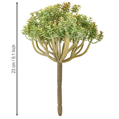 Prodotto Mini pianta artificiale succulenta verde con stelo H23cm