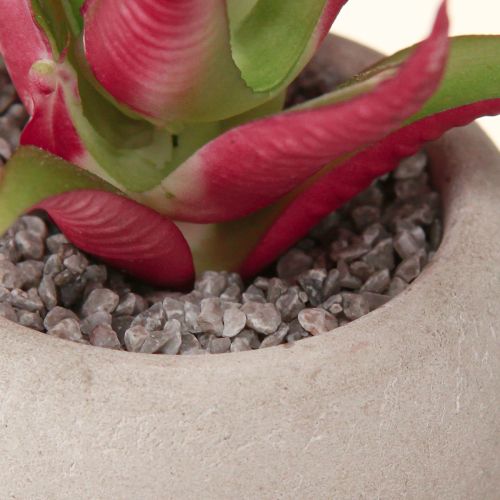 Prodotto Mini piante grasse in vaso Decorazione piante artificiali Ø6,5 cm 6 pezzi