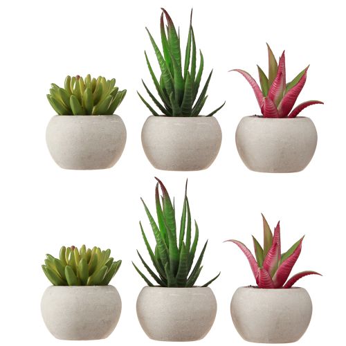 Prodotto Mini piante grasse in vaso Decorazione piante artificiali Ø6,5 cm 6 pezzi