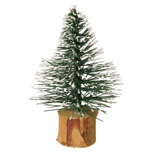 Floristik24 Mini abeti foresta invernale innevata Ø5cm H8cm 12 pezzi