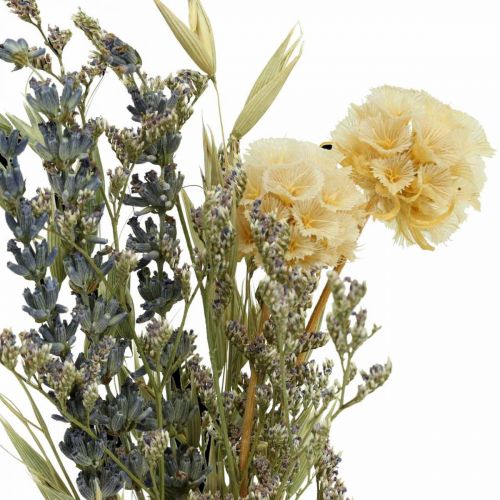Floristik24 Mini bouquet di fiori secchi boho, fiori secchi fiori L22cm