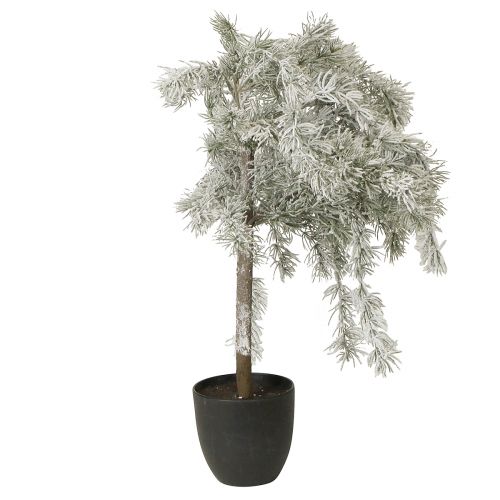 Prodotto Mini albero di Natale in vaso di cedro con neve artificiale H60 cm