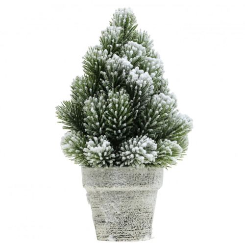 Floristik24 Mini albero di Natale in vaso innevato artificialmente Ø14cm H24cm