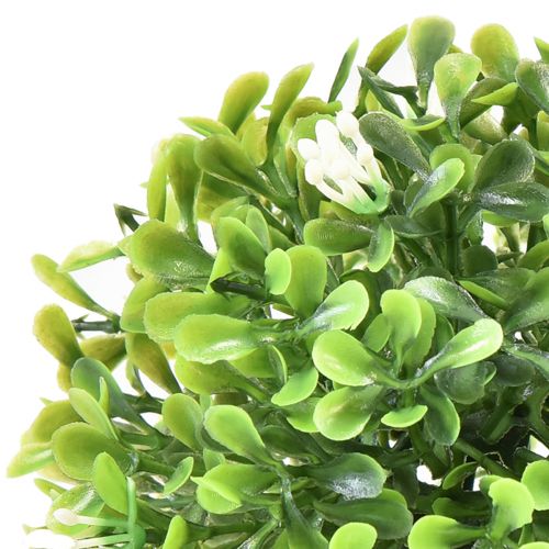 Prodotto Mini palla di bosso con fiori scatola palla verde Ø10cm