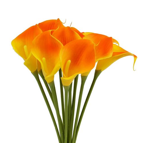 Floristik24 Mini calla artificiale gialla 28 cm 12 pz