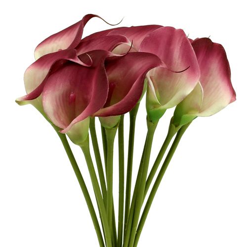 Prodotto Mini calla artificiale 28 cm Erika, crema 12 pz