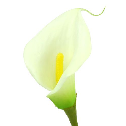 Prodotto Mini Calla artificiale bianco L 28cm 12pz