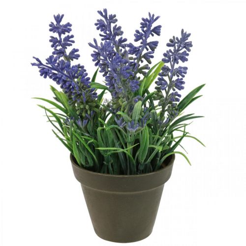 Floristik24 Mini lavanda in vaso pianta artificiale decorazione lavanda H16cm