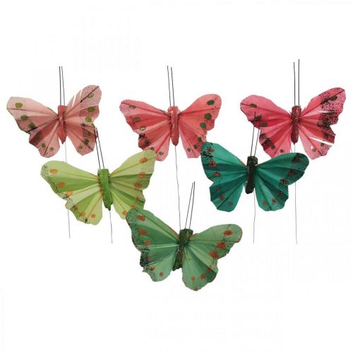 Floristik24 Mini farfalla su filo rosso, verde 6,5 cm 12 pz