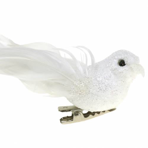 Floristik24 Mini piccione sulla clip 9cm 2 pezzi
