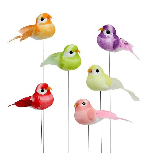 Floristik24 Mini Bird assortiti 7cm 12 pezzi