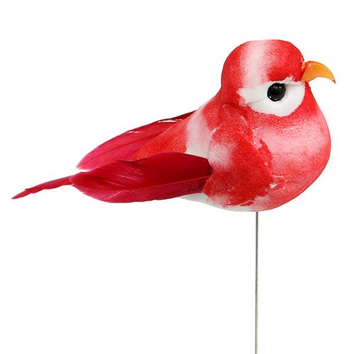 Floristik24 Mini Bird assortiti 7cm 12 pezzi