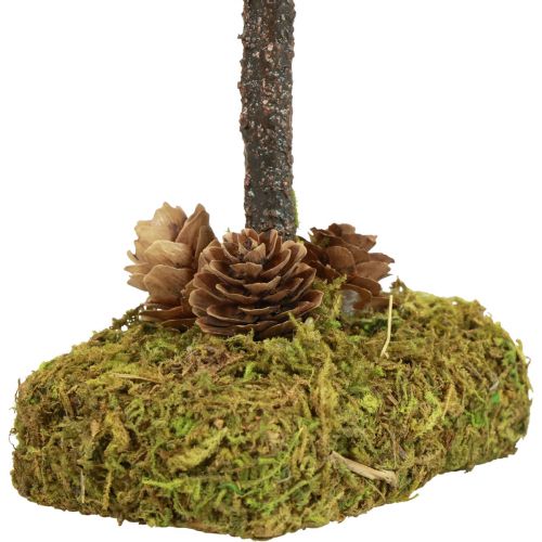 Floristik24 Mini albero di Natale decorazione tavolo muschio albero H30,5 cm