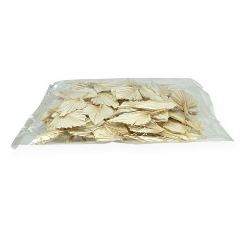 Floristik24 Lancia da palma mini corta sbiancata 50 pz