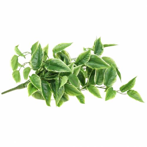 Floristik24 Funkie con bordi bianchi verde artificiale, bianco 100 cm