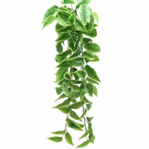 Funkie con bordi bianchi verde artificiale, bianco 100 cm