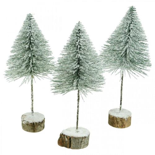 Floristik24 Abeti decorativi, decorazioni invernali, albero di Natale, Avvento H30 / 32cm Ø13,5cm set di 3