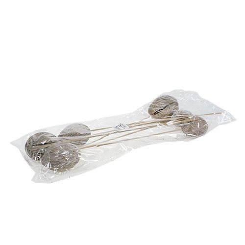 Prodotto Mintolla pallina su stick mix imbiancato 6 pz