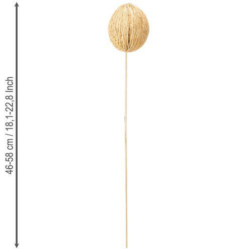 Prodotto Mintolla palla sbiancata 8cm - 10cm L46cm 6 pezzi