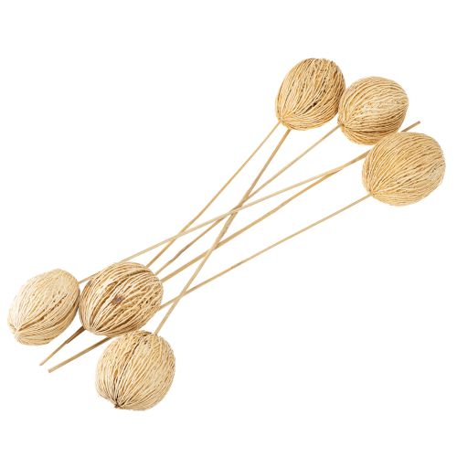 Prodotto Mintolla palla sbiancata 8cm - 10cm L46cm 6 pezzi