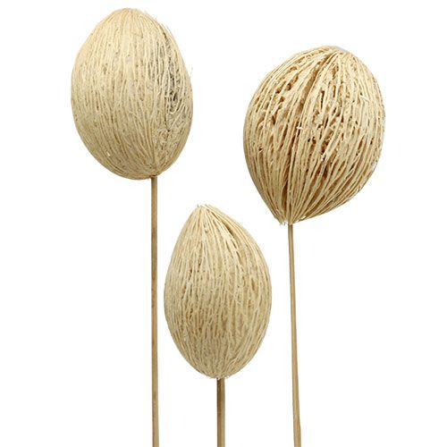 Prodotto Palline di Mintolla sbiancate 8cm - 10cm L46cm 6 pz