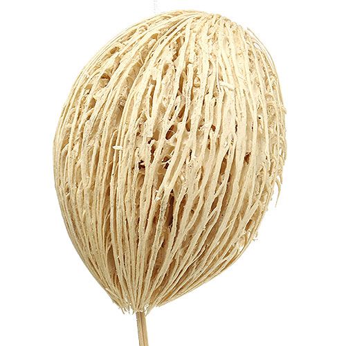 Prodotto Palline di Mintolla sbiancate 8cm - 10cm L46cm 6 pz