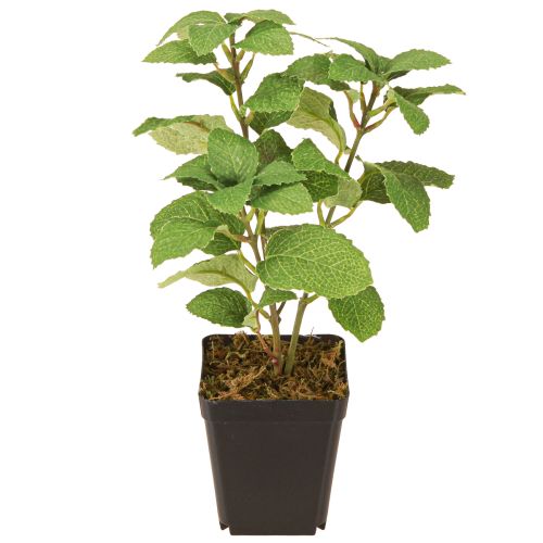Floristik24 Menta in vaso erbe artificiali pianta verde H24cm