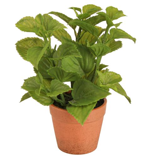Menta in vaso Erbe artificiali Piante artificiali 18 cm 2 pezzi