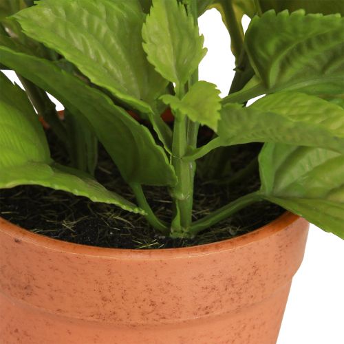 Prodotto Menta in vaso Erbe artificiali Piante artificiali 18 cm 2 pezzi
