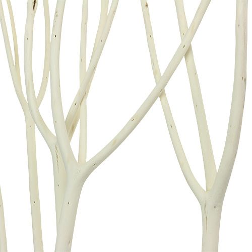 Floristik24 Rami decorativi Mitsumata 115 cm sbiancati 3 pz