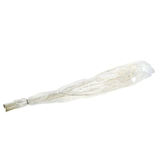 Floristik24 Rami decorativi Mitsumata 115 cm sbiancati 3 pz