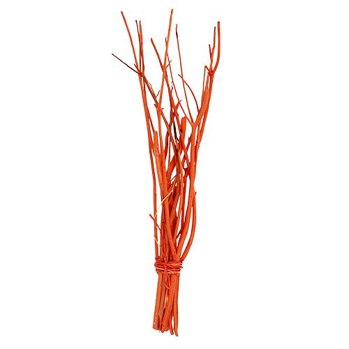 Floristik24 Rami di Mitsumata Arancio 34-60 cm 12 pezzi