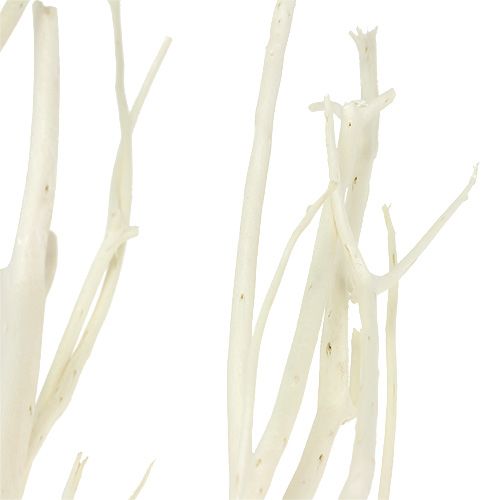 Prodotto Mitsumata rami bianchi 34-60cm 12pz