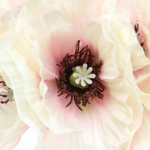 Floristik24 Bianco papavero, rosa 29cm 6pz