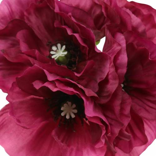 Floristik24 Papavero viola 29cm 6pz