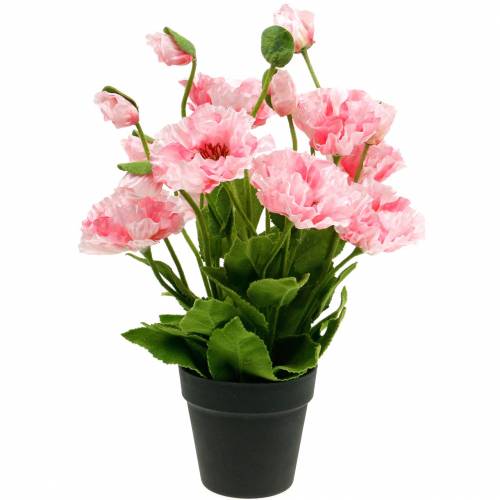Papavero orientale, fiore artificiale, papavero in vaso rosa