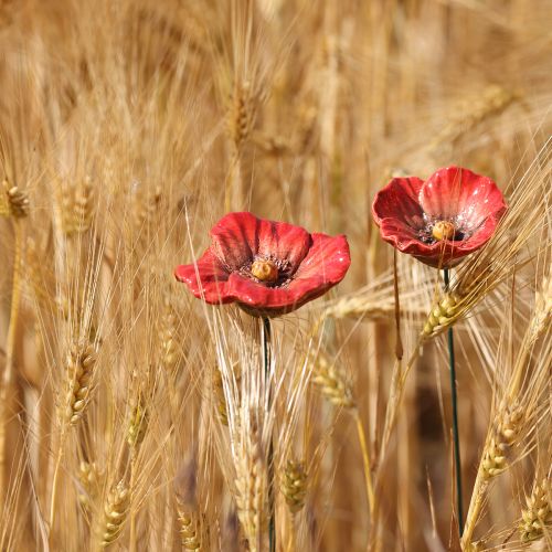 Floristik24 Decorazione romantica in ceramica a forma di papavero per giardino primaverile e aiuole, 31 cm, 6 pezzi