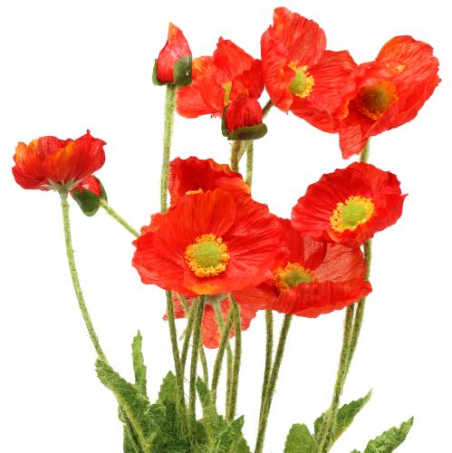 Floristik24 Arancio papavero 60cm 3pz