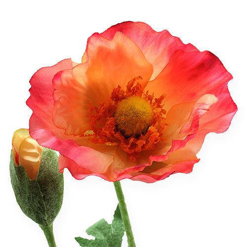 Floristik24 Rosa Papavero Artificiale, Giallo 74cm