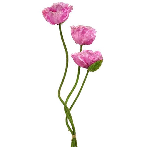 Floristik24 Papaveri rosa 59 cm - 75 cm 3 pz